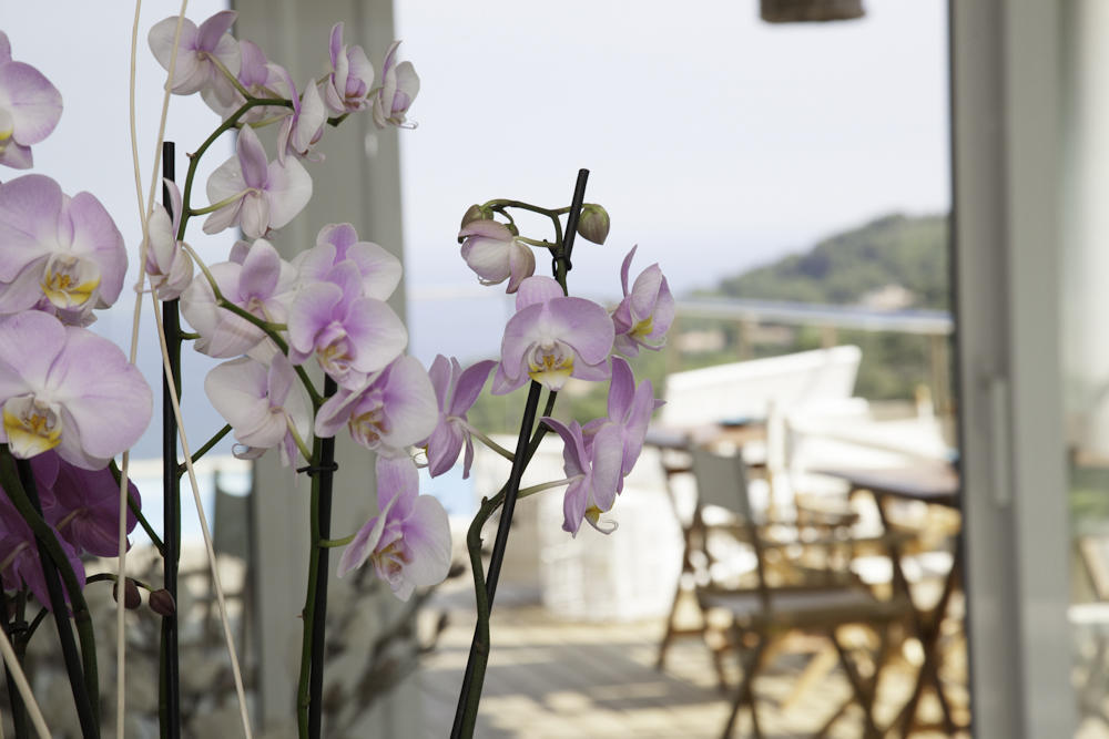 Es Cel De Begur Hotel Oda fotoğraf